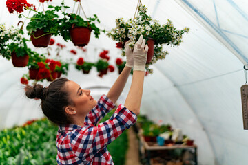 A beautiful gardener checks the health of plants in hanging pots, flower greenhouse concept