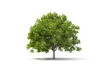 Fototapeta na wymiar Green tree isolated on white background. Created with Generative AI Technology