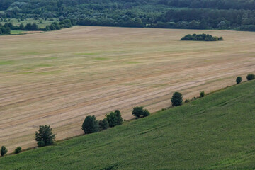 Agricultural Rolling Spring Autumn Landscape. Natural Landscape In Brown And Yellow Color. Waved...