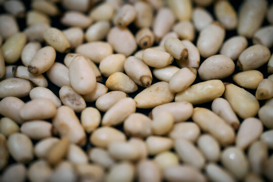 Still life close up of pine nuts
