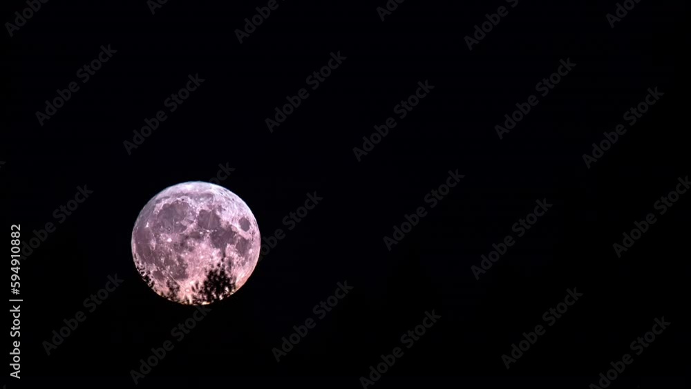 Wall mural the moon rises behind a forest in the pitch dark night. time lapse