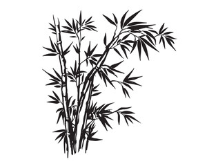 Bamboo tree, Hand drawn style. Vector.