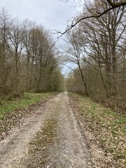 Promenade dans les bois autour de Chimay en Belgique
