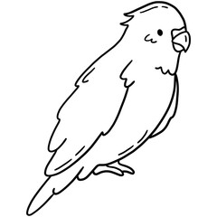 Cute parrot, tropical bird vector icon in linear doodle style png