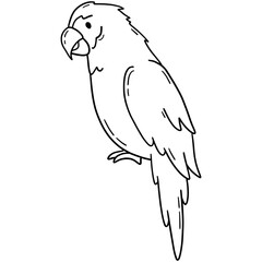 Ara macao parrot, tropical bird scarlet macaw vector icon in linear doodle style png