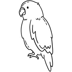 Tropical parrot, bird vector icon in linear doodle style png