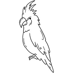 Palm cockatoo parrot, tropical bird vector icon in linear doodle style png