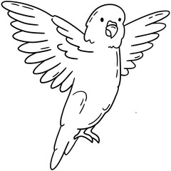 Caique parrot, tropical bird vector icon in linear doodle style png