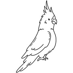 Cockatiel parrot, tropical weiro bird or quarrion vector icon in linear doodle style png