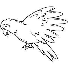 Ara macaw parrot with wings, tropical bird vector icon in linear doodle style png