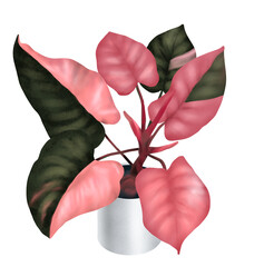 Untitled Artwork © anuchit2012