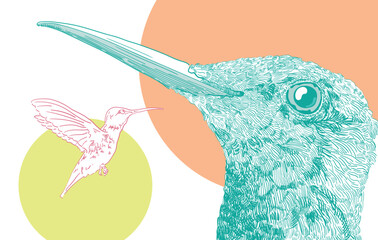 2 birds vector illustration hummingbird © Stanisaw