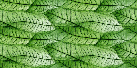 Naklejka na ściany i meble Macro texture of beautiful leaves in green tones. AI generative illustration.