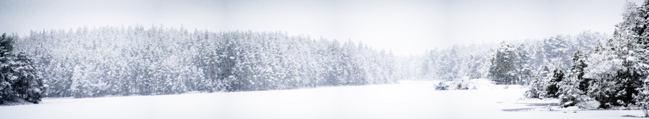 Panoramic view of winter landscape with trees
