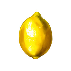 Isolated watercolor lemon on white background. Sour and tasty fruit with vitamins. Citrus fruit.