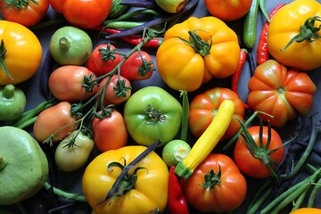 colorful fresh vegetables, tomatoes and young courgettes harvested on the plot, yellow and green...