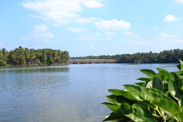 the lake and backwaters behind Dharmadam beach in Kannur, Kerala, India