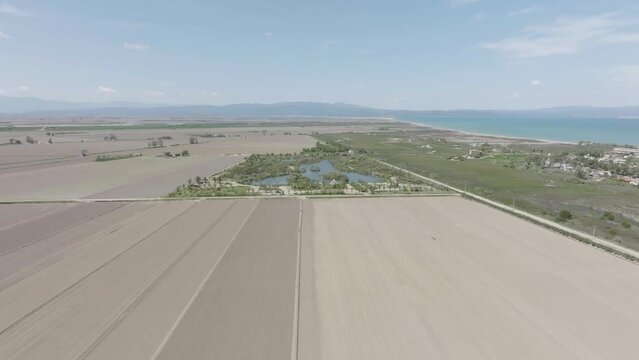 Delta de l'Ebre. Mouth of the Ebro River. Riumar, Tarragona.Natural park in Catalonia, Spain. Mediterranean sea. Flat color, log shot.