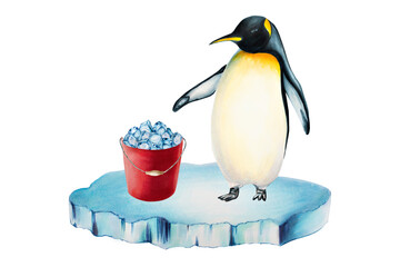 Watercolor king penguin with a bucket of ice on an ice floe isolated. Hand painting realistic Arctic and Antarctic ocean mammals. For designers, decoration, postcards, wrapping paper, scrapbooking