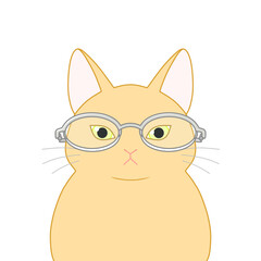 大きいメガネをかけている茶色の猫