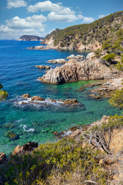 Nature in all its splendor: an experience for the senses. Costa Brava, near small town Palamos, Spain © Arpad