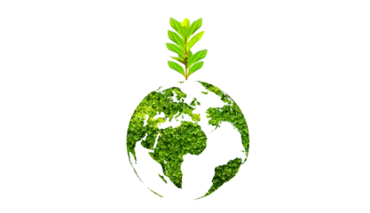 tree in the green globe Isolate on transparent background PNG file