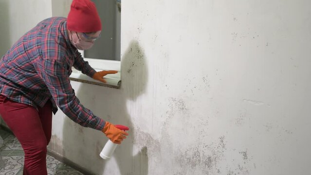 A woman sprays a mold remedy on the wall, mold removal at home.