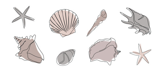 Seashells set on an abstract background. One line drawing of a shell. Hand drawn marine illustrations of seashells. Summer tropical ocean beach style.