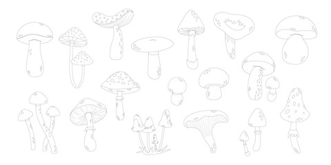 Mushrooms line art style. Hand drawn mushrooms no color.