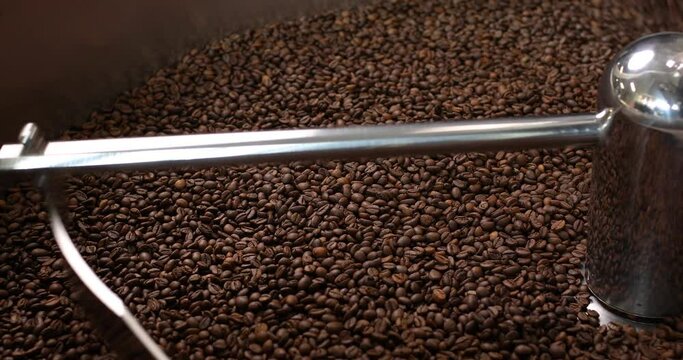 Coffee beans are mixed and roasted in a large metal vat with a rotating mechanism. The concept of Arabica and Robusta production.