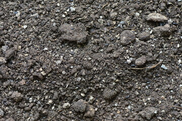 Close up fresh nature view of green leaf on blurred greenery background in garden with copy space using as background, natural green plants landscape, ecology, fresh wallpaper concept.