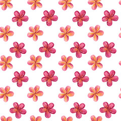 Seamless pattern Frangipani plumeria pink flowers. Jungle tropical exotic foliage. Hand-drawn watercolor illustration isolated on white background. For textiles, packaging, prints