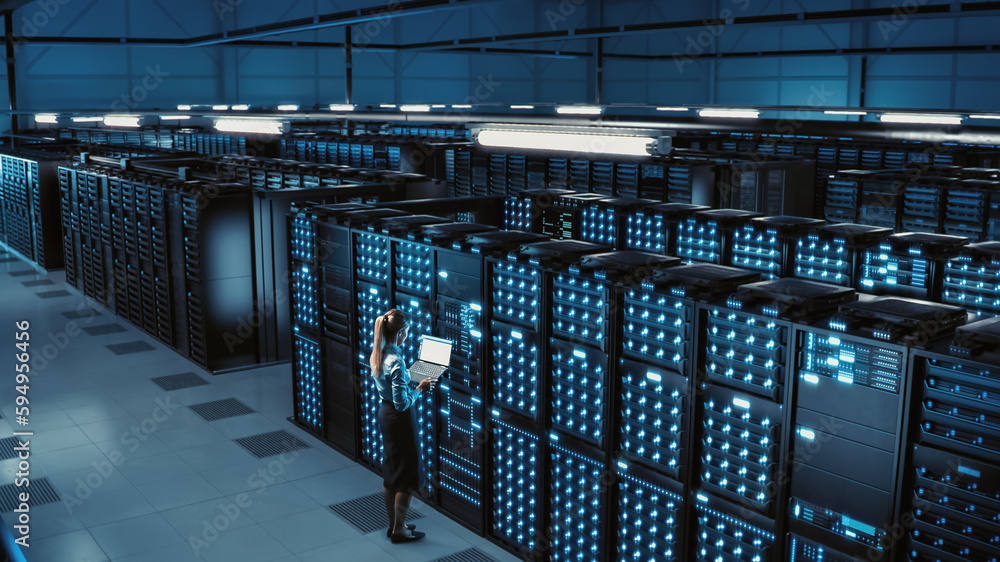 Poster 3d computer graphics: big data center female chief technology officer using laptop standing in wareh