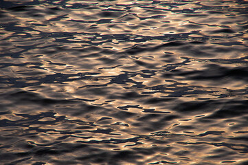 太陽の光を滑らかに反射する水面の波