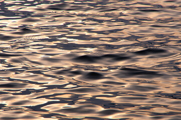 太陽の光を滑らかに反射する水面の波
