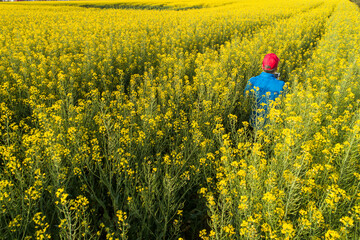 a man in a red cap in an oilseed rape plantation, organic agriculture