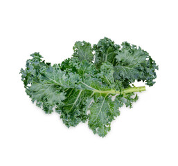 Fresh kale isolated on white background