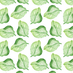 Pattern of watercolor green leaves elements.Botanical pattern solated on white background suitable for Wedding Invitation, save the date, thank you, or greeting card.