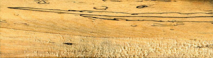 Hornbeam wood, can be used as background, wood grain texture