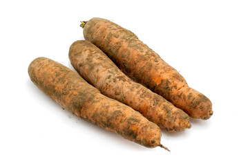 Carrots isolated on white background