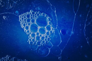 A closeup shot of soap bubbles with blue details