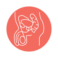 Male genitourinary system color line icon. Pictogram for web page