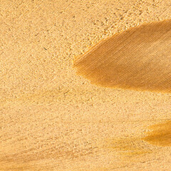 Pine wood, can be used as background, wood grain texture