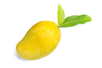 Tropical fruit, Mango  on white background.