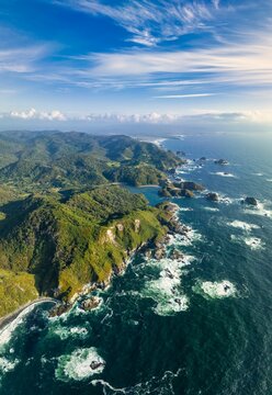 Fototapeta Aerial view of Chiloe island, Pacific Ocean - Native Forest, Chile