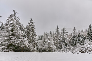 Paisaje nevado en el Pais Vasco