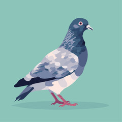 鳩のベクターイラスト