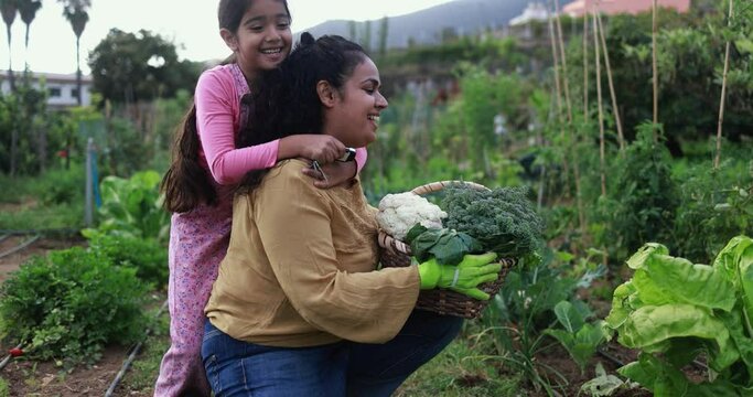 Indian mother and little daughter having playful time together while picking up organic vegetables from house garden outdoor - Vegetarian, healthy food and education concept