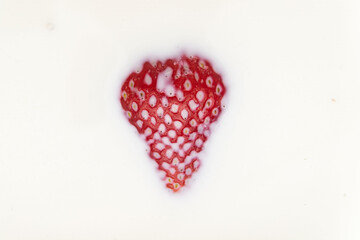 Strawberries are floating in milk. Highlighted on a white background.