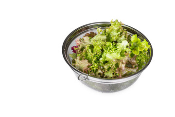 Freshly washed red lettuce in a colander. sten net